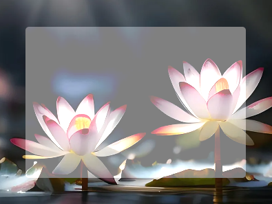 image-20250620191229761